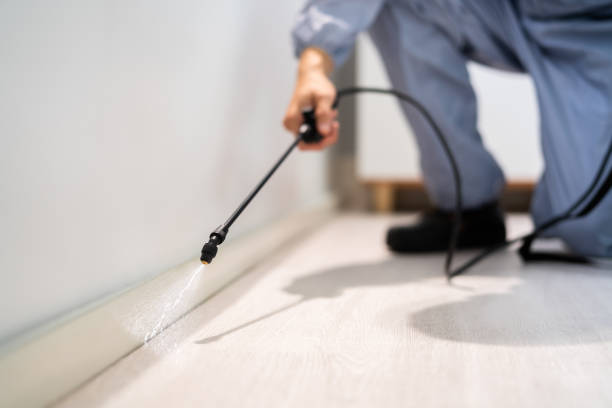 Licensed Termite Control service in Sandpoint, ID - Nex Pest Control