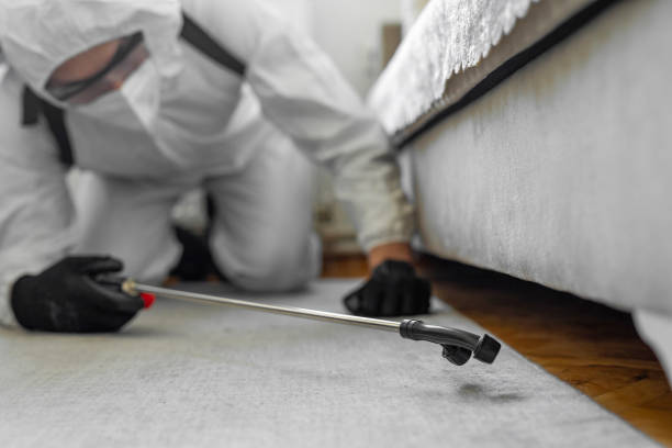 Professional Termite Control technician working in Sandpoint, ID