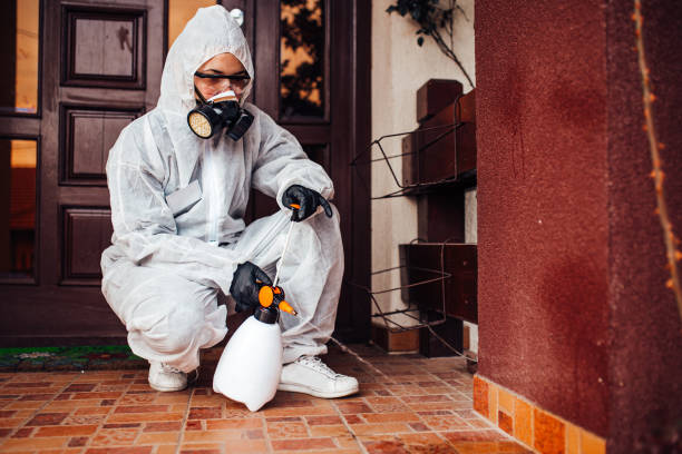 Reliable Termite Control contractor in Sandpoint, ID by Nex Pest Control