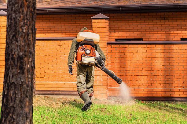 Top rated local Termite Control specialists in Sandpoint, ID